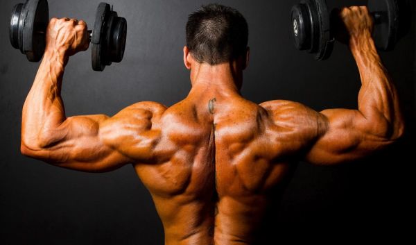 Rücken eines Bodybuilders der zwei Kurzhanteln hebt