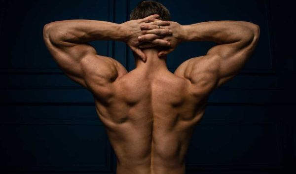 Top 3 Übungen für einen breiten Rücken