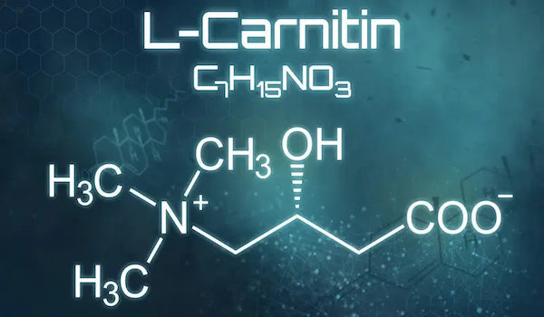 Abbildung Chemische Formel L-Carnitin