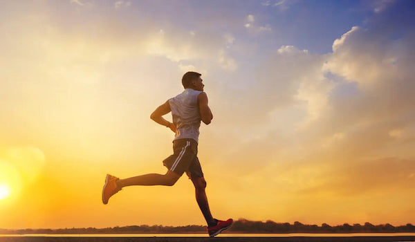 Warum du Cardio Training machen musst
