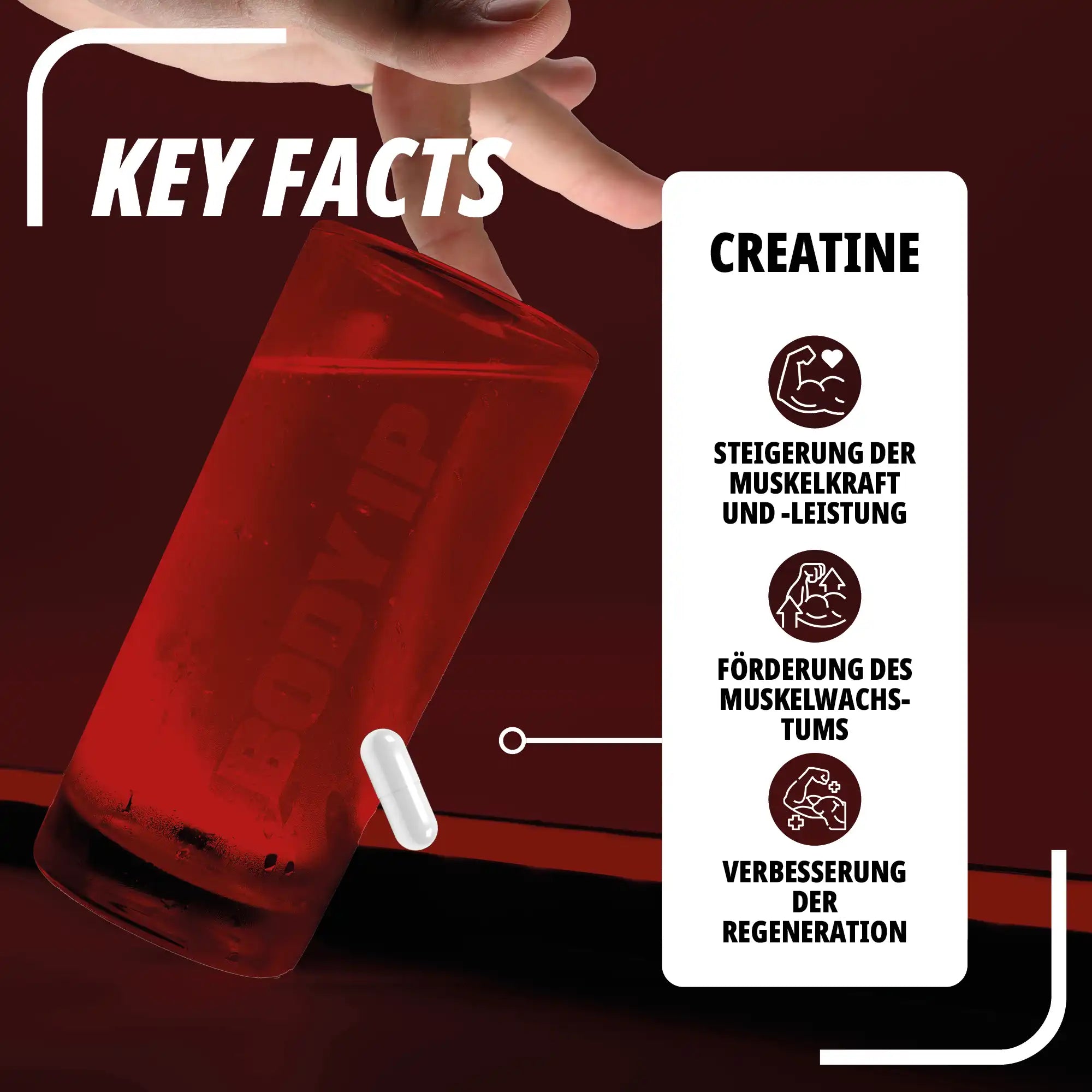 Kreatin-Kapseln - Perfect Creatine Plus