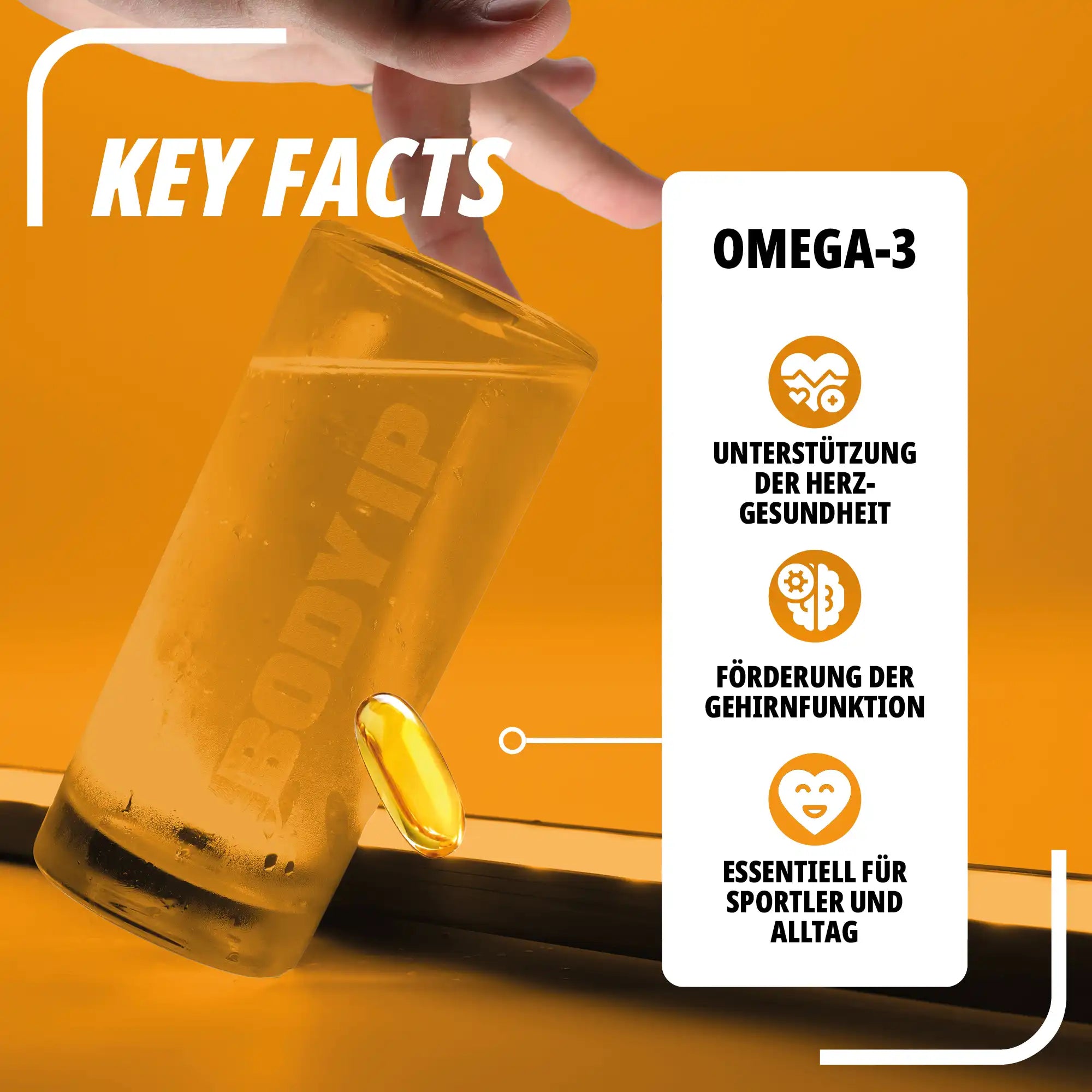 Perfect Omega-3, 120 Kapseln
