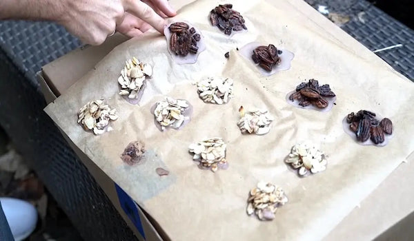 Nuss Schokopralinen auf dem Blech