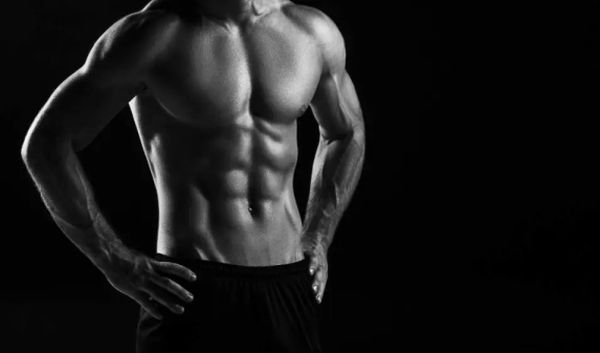 Männlicher, muskulöser Oberkörper