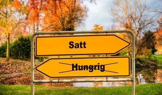 Sättigung versus Hunger