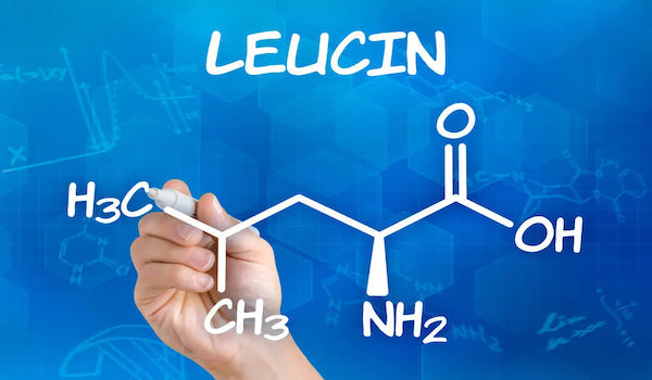 Chemische Formel für Leucin